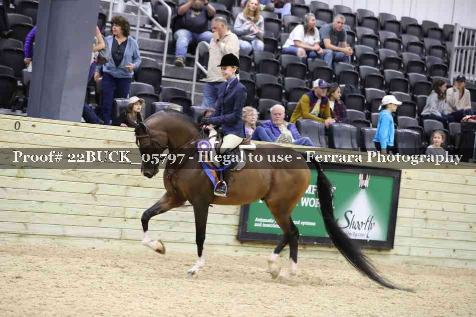 Proof 22BUCK_05797