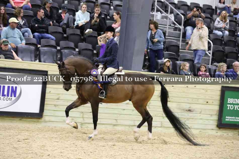 Proof 22BUCK_05798