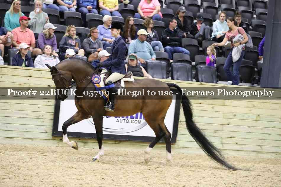 Proof 22BUCK_05799