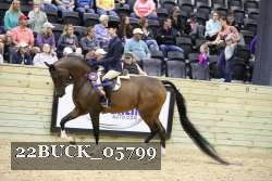 22BUCK_05799 proof