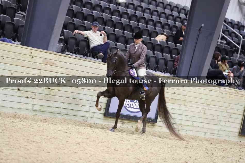 Proof 22BUCK_05800