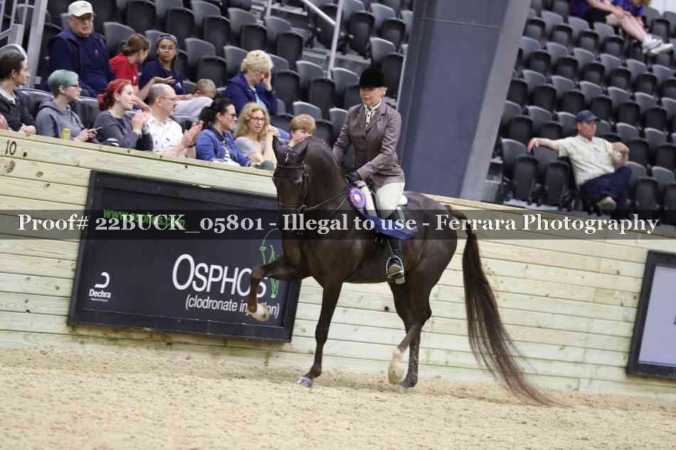 Proof 22BUCK_05801