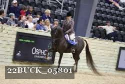 22BUCK_05801 proof