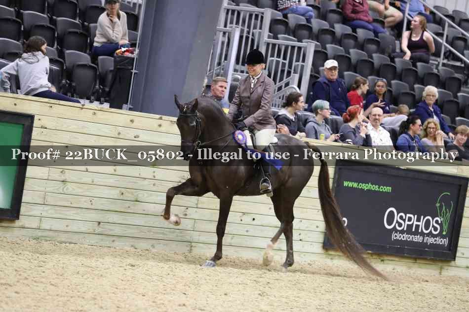 Proof 22BUCK_05802