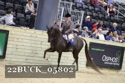 22BUCK_05802 proof