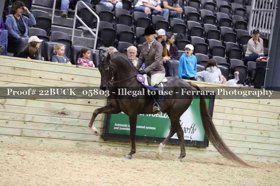 Proof 22BUCK_05803