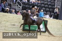 22BUCK_05803 proof