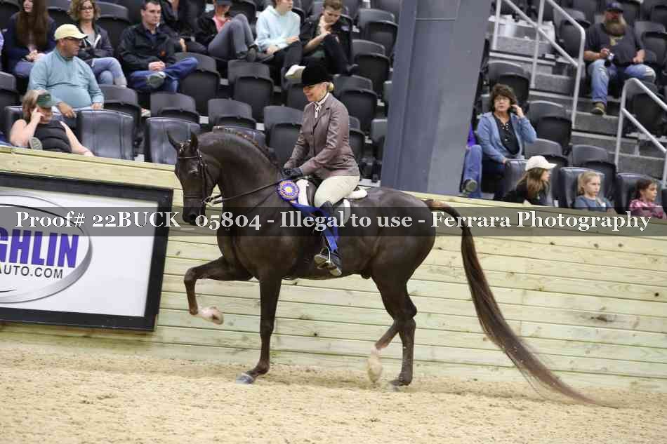 Proof 22BUCK_05804