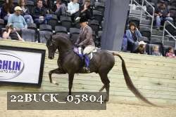 22BUCK_05804 proof