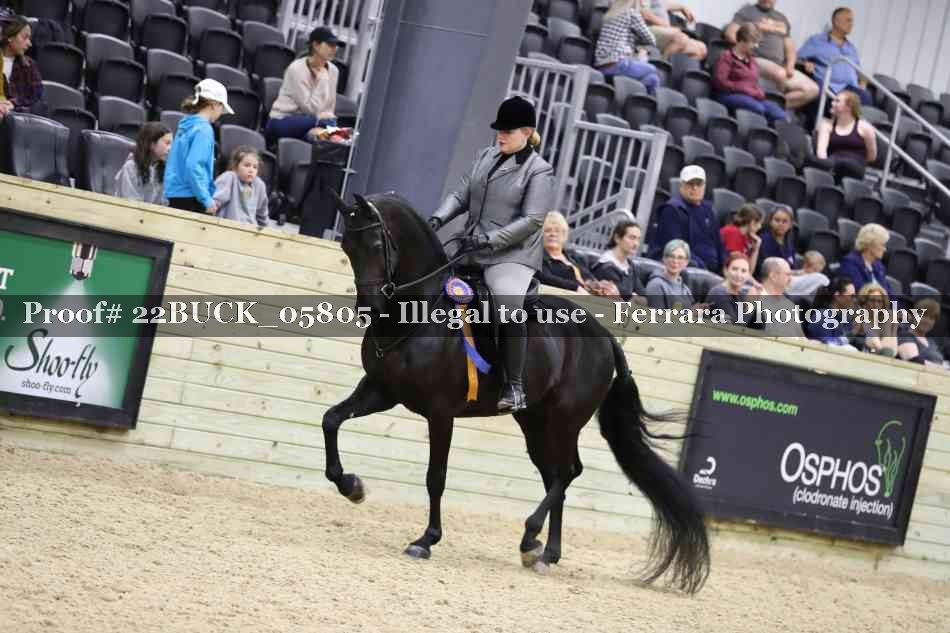 Proof 22BUCK_05805