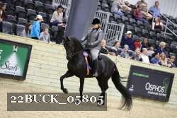 22BUCK_05805 proof