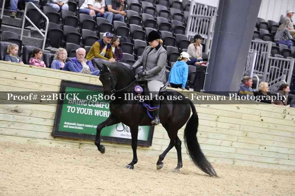 Proof 22BUCK_05806