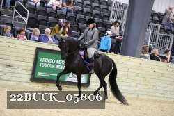 22BUCK_05806 proof