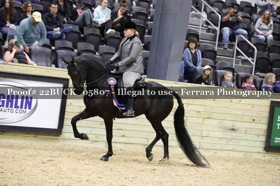 Proof 22BUCK_05807