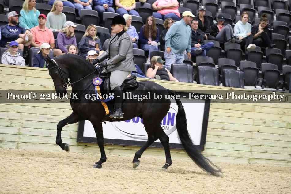 Proof 22BUCK_05808