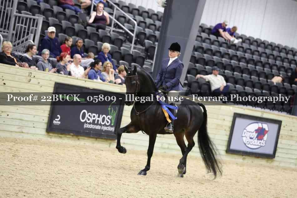 Proof 22BUCK_05809