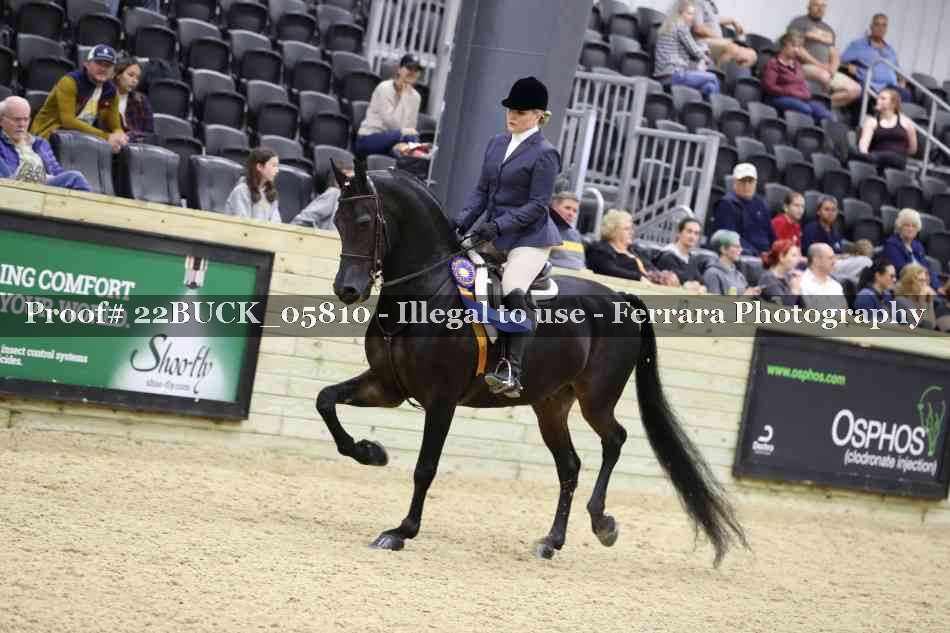 Proof 22BUCK_05810
