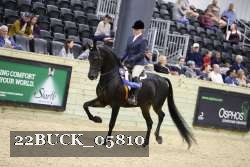 22BUCK_05810 proof