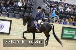 22BUCK_05811 proof