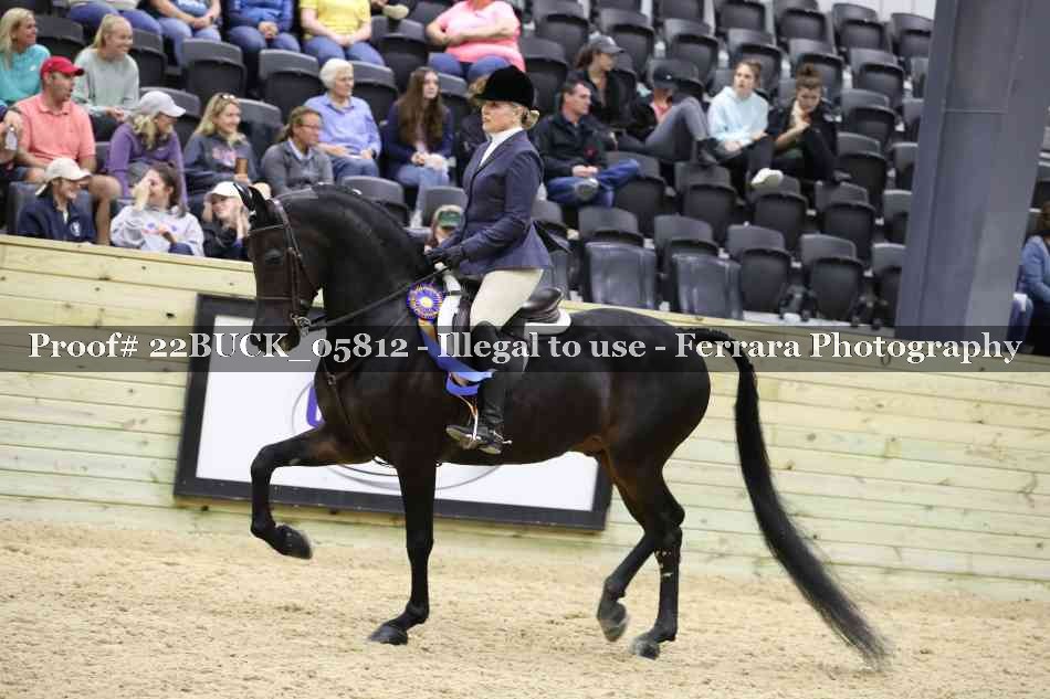 Proof 22BUCK_05812
