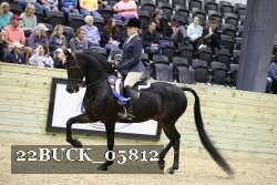 22BUCK_05812 proof