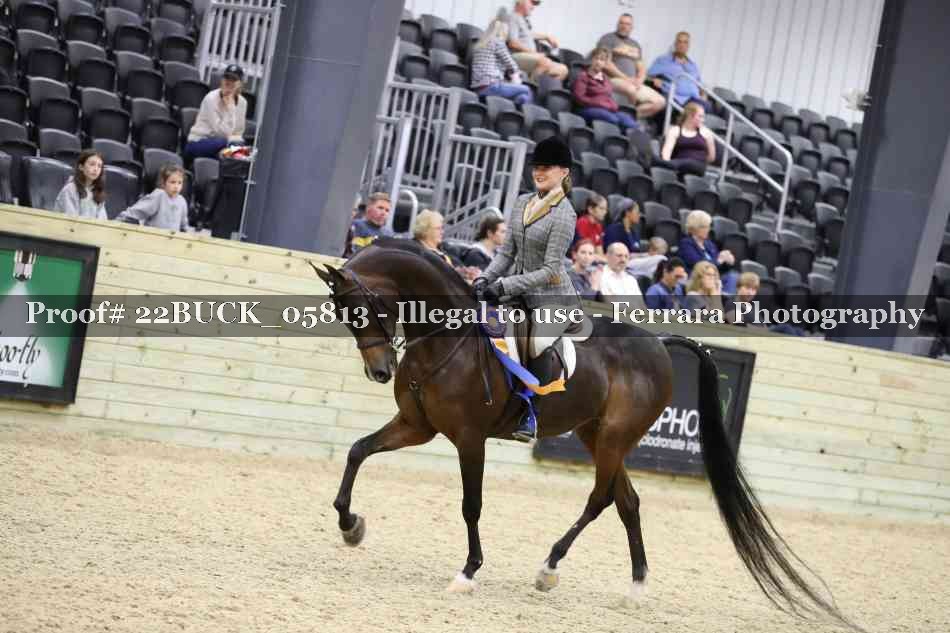 Proof 22BUCK_05813