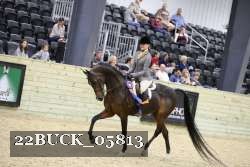 22BUCK_05813 proof