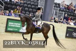 22BUCK_05814 proof