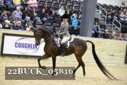 22BUCK_05816 proof