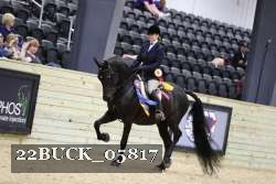 22BUCK_05817 proof