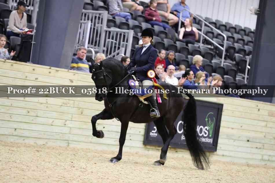 Proof 22BUCK_05818