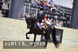 22BUCK_05818 proof