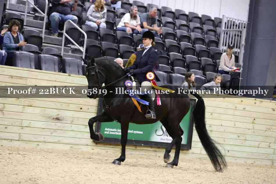 Proof 22BUCK_05819