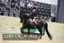 22BUCK_05819 proof