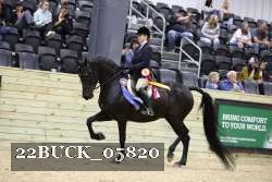 22BUCK_05820 proof