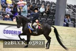 22BUCK_05821 proof