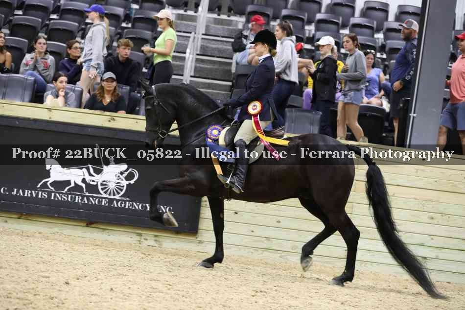 Proof 22BUCK_05822