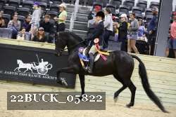 22BUCK_05822 proof