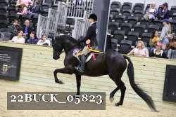 22BUCK_05823 proof