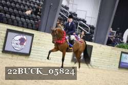 22BUCK_05824 proof