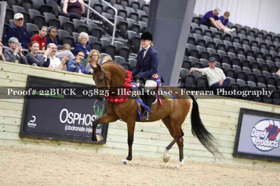 Proof 22BUCK_05825
