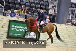 22BUCK_05826 proof