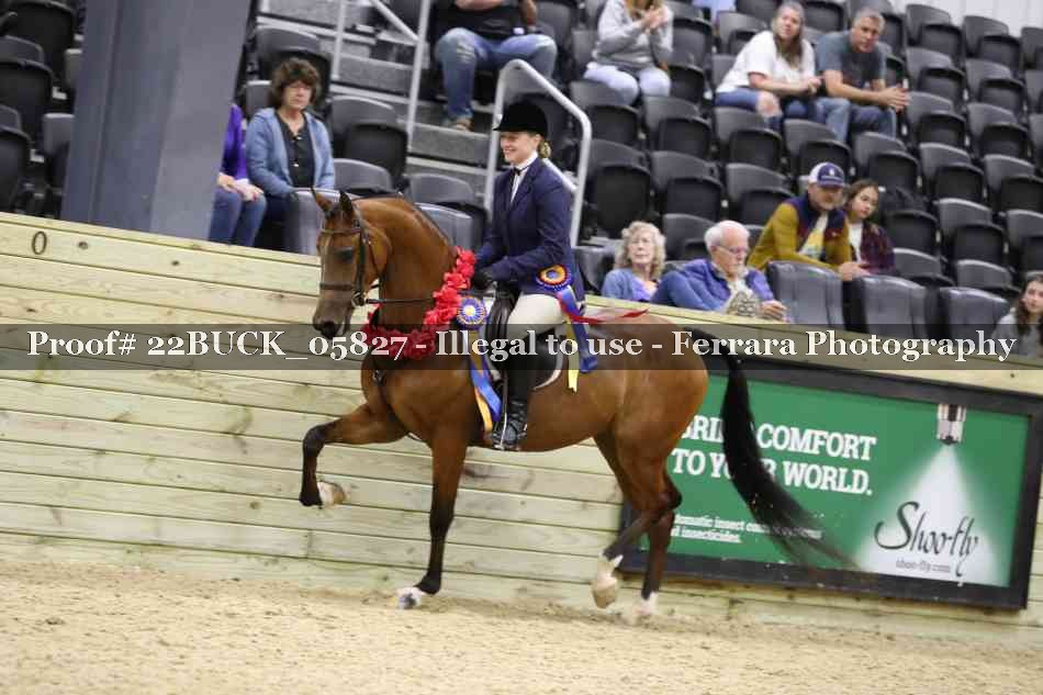 Proof 22BUCK_05827