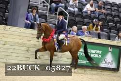 22BUCK_05827 proof