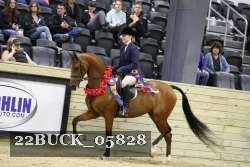 22BUCK_05828 proof