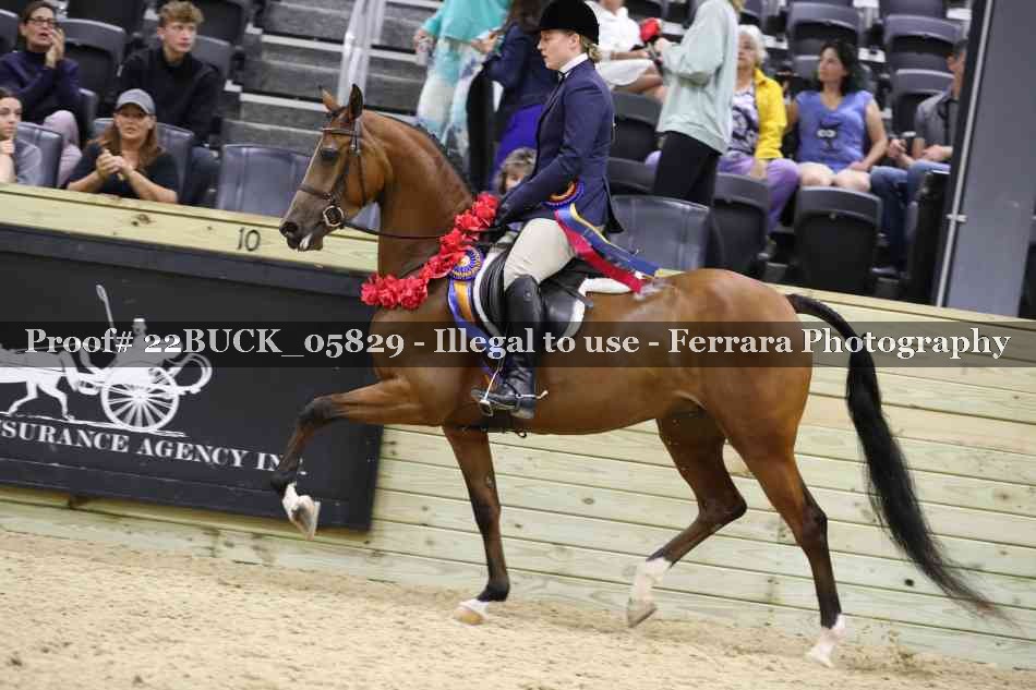 Proof 22BUCK_05829