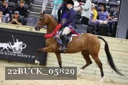 22BUCK_05829 proof