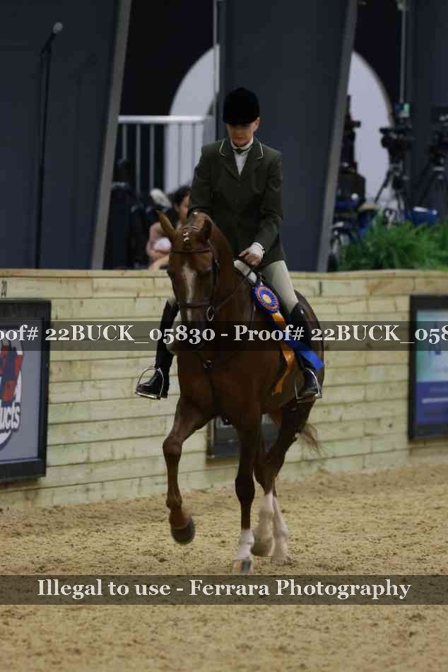 Proof 22BUCK_05830