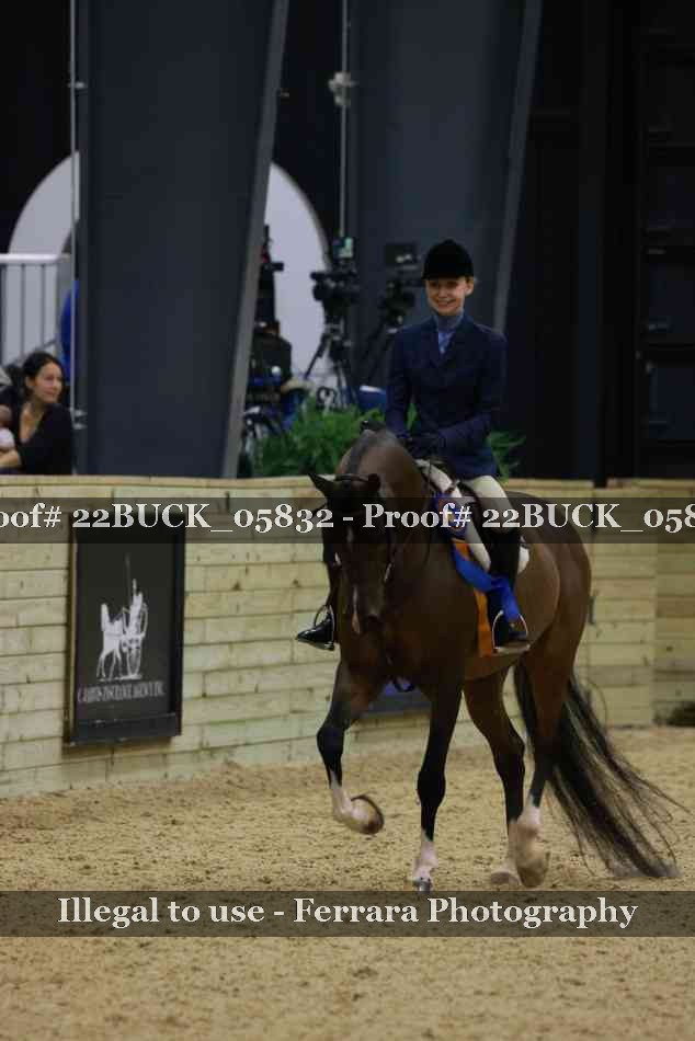 Proof 22BUCK_05832