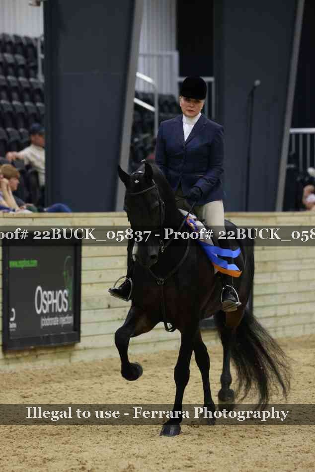 Proof 22BUCK_05837
